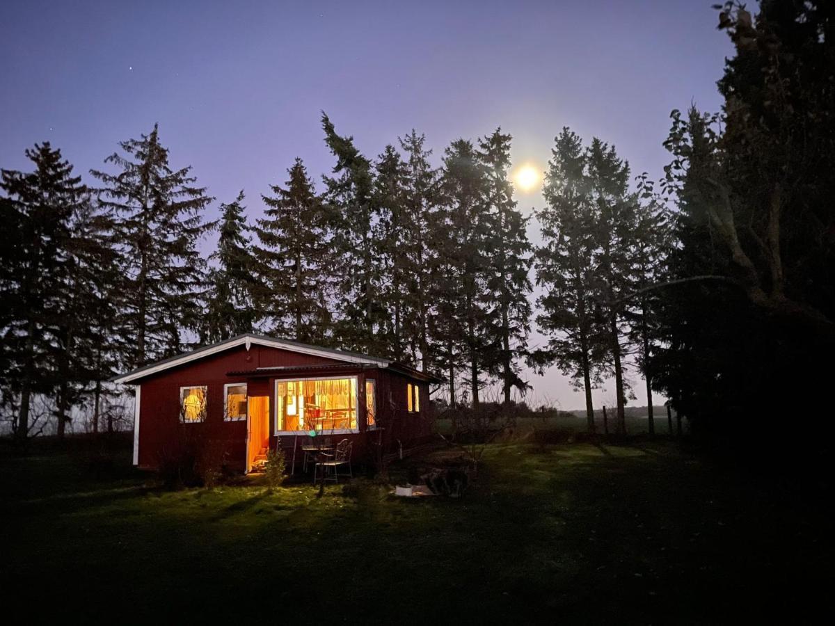 Landhaus Mit Pool, Bungalow In Der Natur Hohenbollentin Luaran gambar